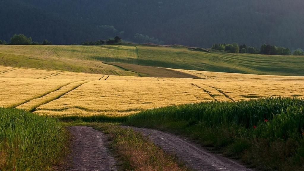 Penzion Mlynarov Dvor Dubrava Buitenkant foto