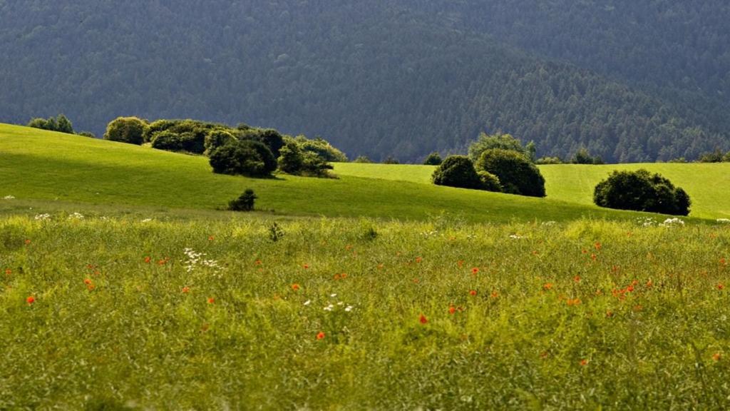 Penzion Mlynarov Dvor Dubrava Buitenkant foto