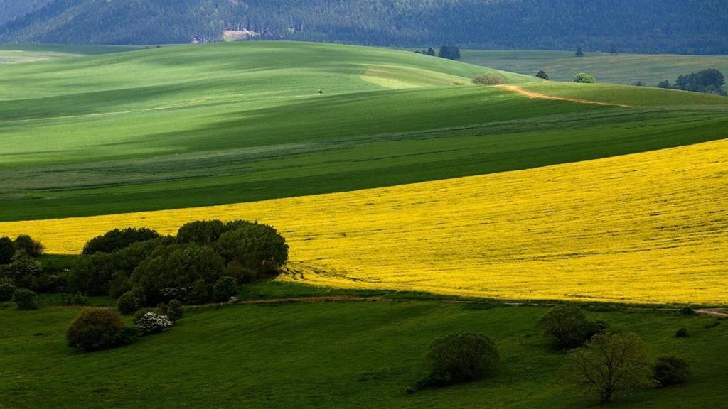 Penzion Mlynarov Dvor Dubrava Buitenkant foto